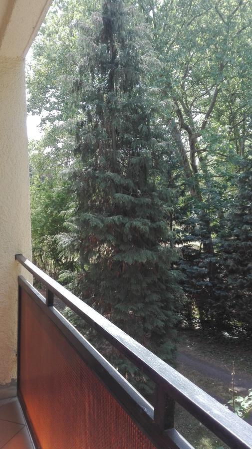 Gyoengyvirag Ueduelo - Mario Apartman Харканы Экстерьер фото